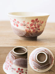 Japanese Mino Yaki Sakura Ceramic Teapot Set