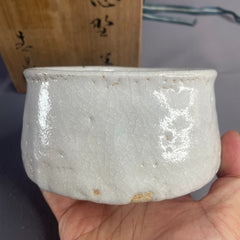 Rustic Shino Matcha Bowl