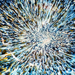 Cosmos
